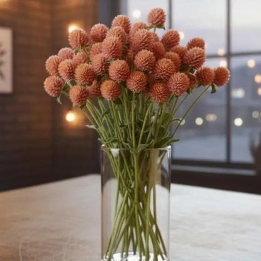 QIS Gomphrena Salmon Seeds, flower farms, pollinator garden, cottage garden, cut flowers, dried flowers