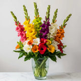 6 Tutti Frutti Gladiolus Bulb Mix, Cut Flowers, Attracts pollinators, Blooms through summer