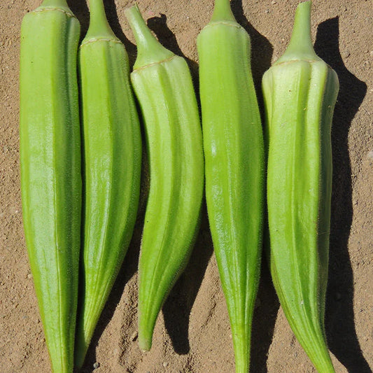 Okra Clemson Seeds, Spineless, AAS Winner, Vitamin -Rich, Edible Flowers