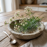 Common Cumin Seeds, Rich in antioxidant