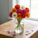 AAS Mix Profusion Zinnia Seeds, cut flowers, container garden, disease resistant