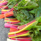 Swiss Chard Mix Seeds