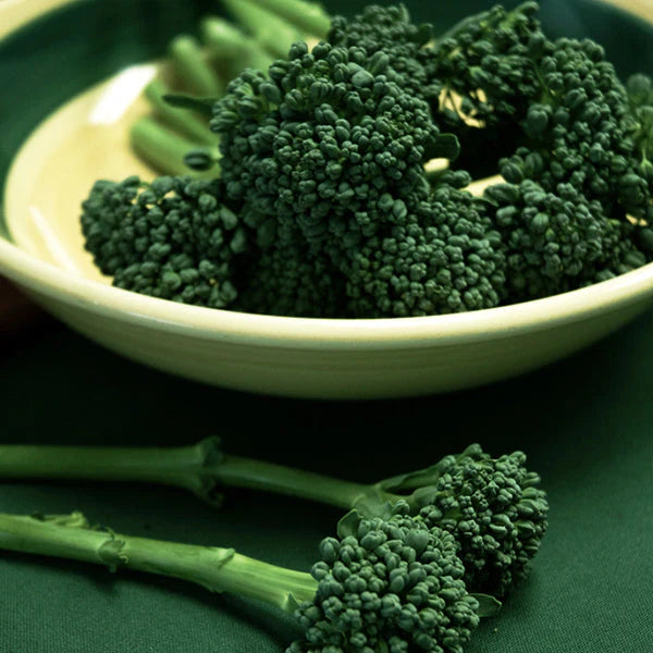 Broccoli BC1611 Untreated Seeds
