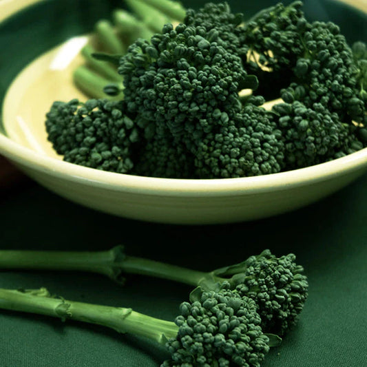 Broccoli Seeds BC1611 Untreated, vitamin C, Vitamin K, mild taste, hybrid