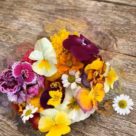 Edible Flower Blend Wildflower Seeds, sweet, tangy, peppery, spicy