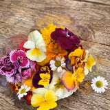 Edible Flower Blend Wildflower Seeds, sweet, tangy, peppery, spicy