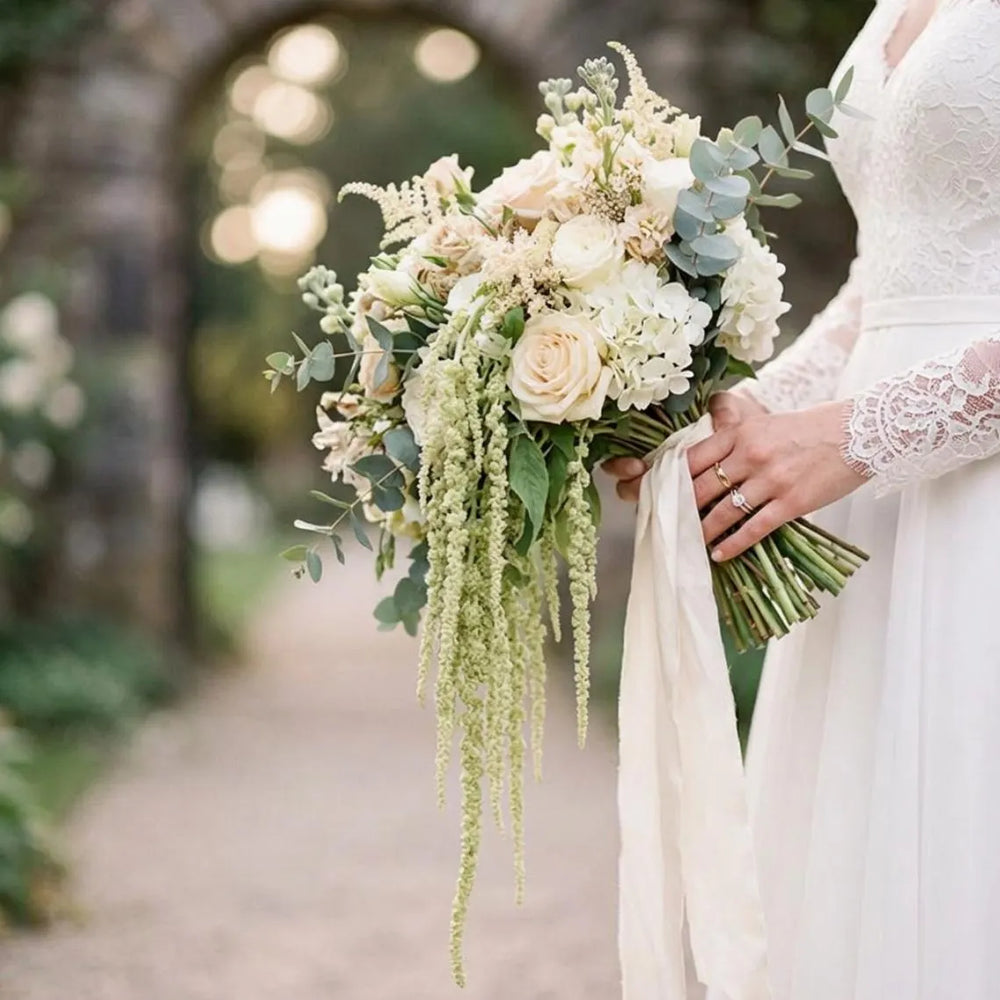 Green Tails Amaranthus Seeds, Bridal bouquet flowers, wreath flowers, windowsill arrangement