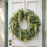 Green Tails Amaranthus Seeds, Bridal bouquet flowers, wreath flowers, windowsill arrangement