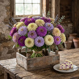 Zinnia Blueberry Cheesecake Seeds, Cut Flowers, Wedding Arrangement, Jewel tone flowers