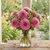 3 Way of Life Dahlia, Wedding flowers, Bouquet flowers, cut flowers, collector dahlia