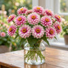 Belize Dbl Pink Bicolor Zinnia Seeds, Non-Stop Blooms, Pollinator Garden