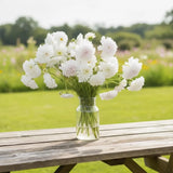 Snow Puff Cosmo Seeds, Cottage Garden, pollinator garden, moon, garden, Wedding flowers