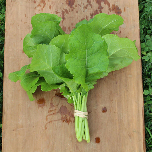 Mustard Amara Kale Untreated Seeds, Vitamin Rich, Mild Flavor