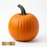Tons of Fun Pumpkin Seeds, Carver, pumpkin patches, seasonal display