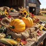Goldilocks Squash Untreated Seeds, raised bed, fall harvester, roasted vegetables, baked vegetables