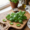 Sweet Aroma II Organic Basil Seeds, Herb Garden, Container, Raised Bed, Culinary Fragrance